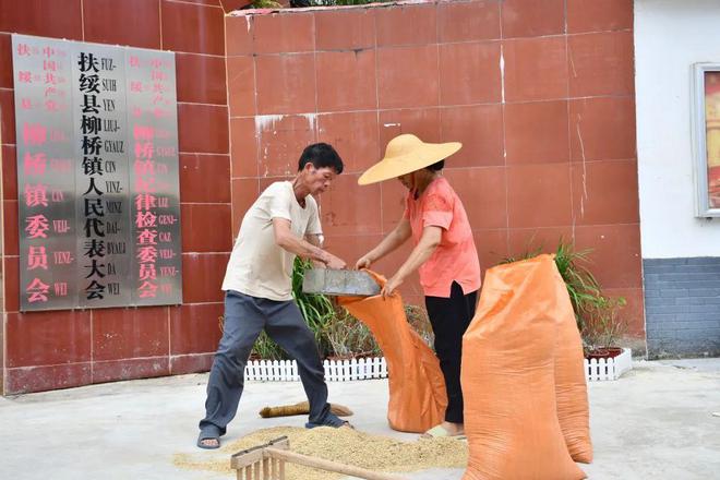 个县城创造罚款收入下降“奇迹”开元棋牌政府大楼旁可以摆摊这(图7)